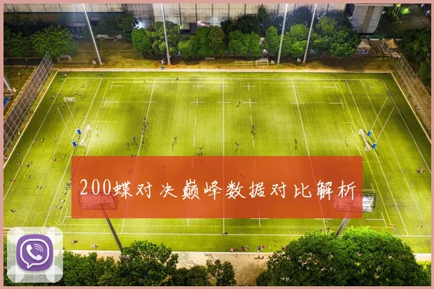 200蝶对决巅峰数据对比解析
