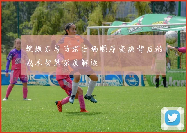 樊振东与马龙出场顺序变换背后的战术智慧深度解读