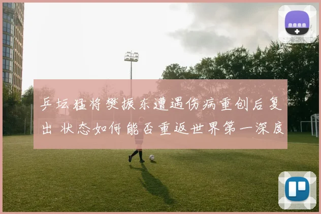 乒坛猛将樊振东遭遇伤病重创后复出 状态如何能否重返世界第一深度探析