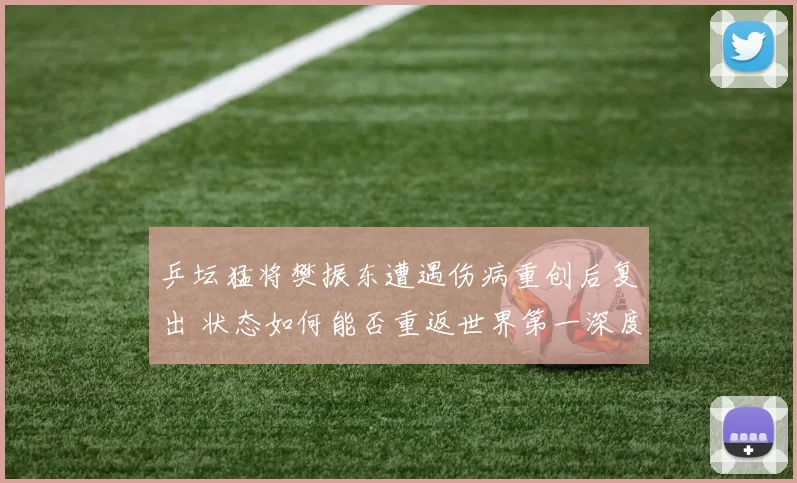 乒坛猛将樊振东遭遇伤病重创后复出 状态如何能否重返世界第一深度探析